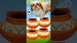 Dog and Cat Focus Game for You shufflegame trending viralshort funny testyourfocus [upl. by Anatolio]