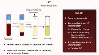 Hemostasis Lesson 4  Tests INR PTT platelets fibrinogen Ddimer [upl. by Mossolb514]