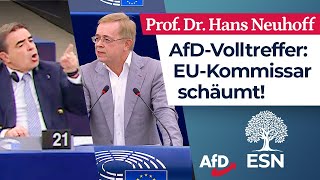 „Sie sind Europas Totengräber“ – Prof Dr Hans Neuhoff AfD [upl. by Betteanne827]