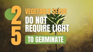 25 Vegetable Seeds That Do Not Need Light To Germinate [upl. by Faso]