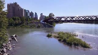 Peace bridge Calgary [upl. by Ocisnarf831]