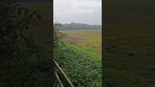 Battle of Bosworth Fields Leicestershire [upl. by Philippe]