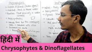 Kingdom Protista  Chrysophytes and Dinoflagellates in Hindi [upl. by Irodim710]