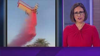 Plane crashes during gender reveal party [upl. by Jobyna]