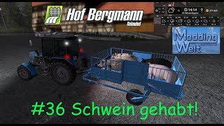 LS17  Hof Bergmann Reloaded  36 Schwein gehabt [upl. by Nell]