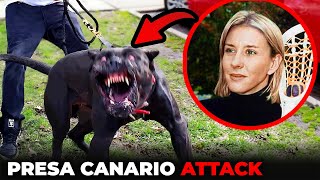 Huge Presa Canario Dog Brutally Attacks Woman [upl. by Padraic]