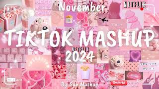 Tiktok Mashup November 🌺🌺2024🌺🌺 Not Clean [upl. by Cerelly]