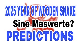 CHINESE ASTROLOGY 2025 YEAR OF THE WOODEN SNAKE PREDICTIONS [upl. by Aiuqram]