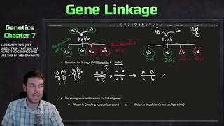 Introduction to Gene Linkage Recombination and Genetic Mapping  Genetics Ep 23 [upl. by Clarie]