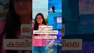 ജപ്പാനിലെ കടലിനു നടുവിലെ അത്ഭുതലോകം  Japan  Malayalam shorts Mallu [upl. by Ylloh]