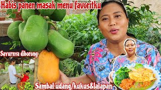 MASAK SAMBAL UDANG amp OYONG TELOR DADAR‼️Habis panen langsung masak menu favorit langsung ludes [upl. by Hueston58]