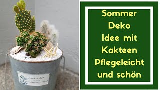 Sommer Dekoration zum selber machen  Kakteen in Blechtopf einpflanzen  Der Blumenmann zeigts dir [upl. by Daraj]