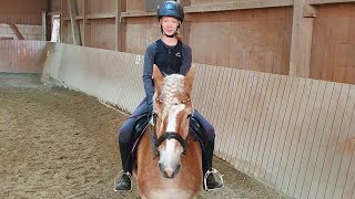 Bei meiner Reitbeteiligung Timo  war heute nicht sein bester Tag beim Reiten 🤩🐴♥️ [upl. by Llennor]