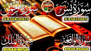 Surah Yaseen ❤️ Surah Rahman ❤️ Surah Waqiah ❤️ Surah Mulk ❤️ Heart Soothing voice  Ep 0096 [upl. by Harle428]