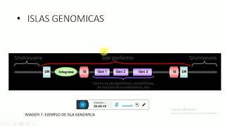 GENOMA BACTERIANO OPERONES E ISLAS DE PATOGENICIDAD [upl. by Anawaj]