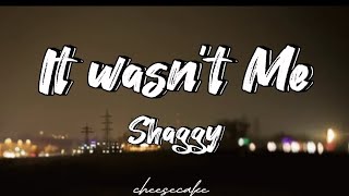 Shaggy  It wasnt me Lyrics [upl. by Uno]