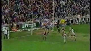 North Melbourne Vs Essendon 1993 [upl. by Eiramacissej488]