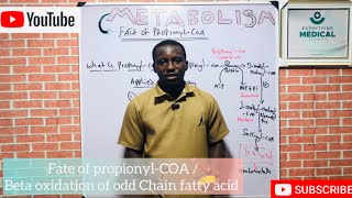 FATE OF PROPIONYLCOA BETA OXIDATION OF ODD CHAIN FATTY ACID [upl. by Kerin]