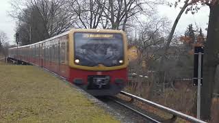 Berliner SBahn fährt in den Bahnhof AltReinickendorf der Linie S25 ein [upl. by Corotto99]