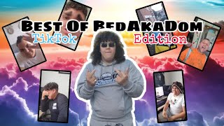 BEST of BedAkaDom 3👑 TikTok Edition [upl. by Htebzil]