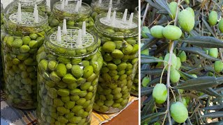 COME PREPARARE LE OLIVE VERDI IN SALAMOIA fatte in casa Ricetta di famiglia [upl. by Nylessej]