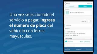 Tutorial para Pago de Matrícula Vehicular [upl. by Aikyn]