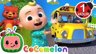 1 HOUR LOOP  Wheels On The Bus 🚌🎶 Fun Learning Cocomelon Loops  Nursery Rhymes amp Kids Songs [upl. by Adil]