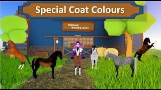 Special Coat Colours  Wild Horse Islands [upl. by Reade]