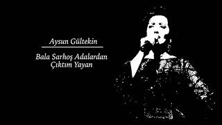 Aysun Gültekin  Bala Sarhoş Adalardan Çıktım Yayan • Türkü Dinle [upl. by Koralie]