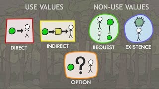 Valuation of Ecosystem Services Classes of Values [upl. by Keller]