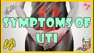 Urinary Tract Infection UTI Symptoms Causes amp Risk Factors [upl. by Eastlake200]