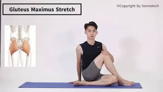 For Eversion amp Outtoeing  Gluteus Maximus Stretch [upl. by Intyrb]