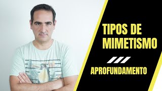 MIMETISMO BATESIANO E MULLERIANO QUAL a DIFERENÇA APROFUNDAMENTO  PROF SANABRIA [upl. by Miett]