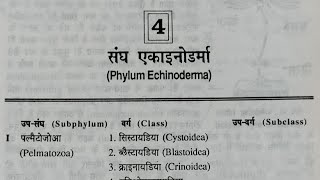 Phylum echinoderma geology [upl. by Tshombe]