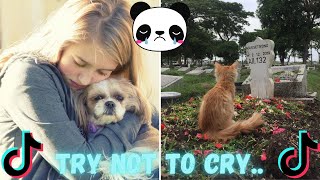 Try Not To Cry Reaction  TikTok Pet Compilation  I Wanna Feel Again TikTok Compilation [upl. by Balcke968]