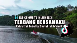 DJ EST CE QUE TU M’AIMES X TERBANG BERSAMAKU Peluk Erat Tubuhku Sentuhlah Jemariku [upl. by Nurat]