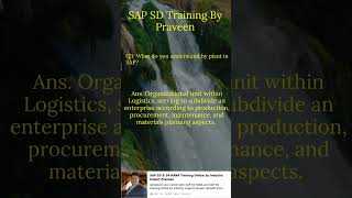 SAP SD Training By Praveen [upl. by Seek154]