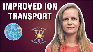 Ion Transport in Battery Electrolytes  Prof Jelena PopovicNeuber [upl. by Rosario232]