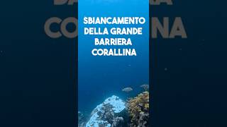 SBIANCAMENTO GRANDE BARRIERA CORALLINA Natura Oceano Short [upl. by Durer]