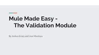 The Mule 4 Validation Module [upl. by Zapot]