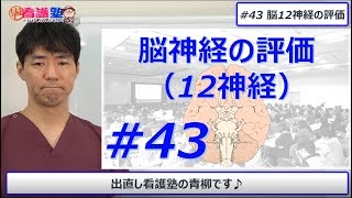 脳神経は12覚える必要なし、看護師的にはこれでOK 1715 修正有り コメント欄参照 [upl. by Blood611]