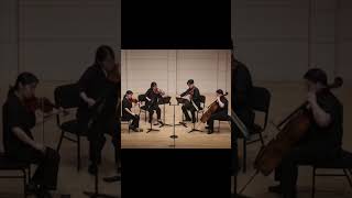 DSCH motifshostakovich string quartet 8 opening viola violin cello stringquartet shostakovich [upl. by Dduj856]