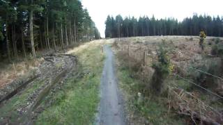 Haldon Forest Mtb Red Route mountain biking part 3 [upl. by Debarath]