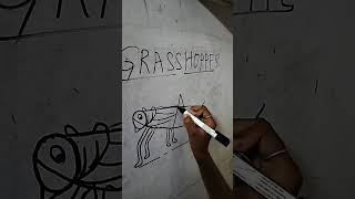 A grasshopper easy drawingclass 6 [upl. by Aihsoj]