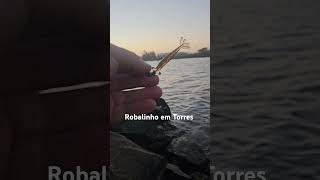 Pesca de Robalo em Torres robalo [upl. by Esojnauj]