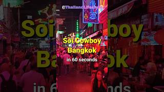 Walking Soi Cowboy Sukhumvit Soi 23 Bangkok nightlife Thailand 2024 gogobars [upl. by Nahamas]