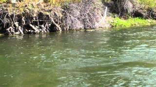 Fishing Colorado River Granby CO 9 201211 [upl. by Airbmak]