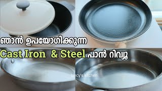 ഞാൻ ഉപയോഗിക്കുന്ന Cast Iron amp Steel പാൻ റിവ്യൂ  My Cast Iron and Steel Pan Review [upl. by Hserus83]