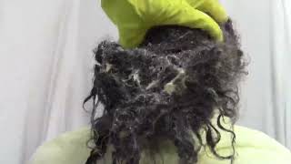 Expert Tips amp Techniques to Detangling Matted Hair Revealed [upl. by Rebm]