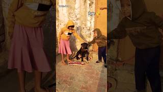 Dona ko Pyar 😘 kar raha h baccha 🥰 doglover shorts trending ytshorts [upl. by Eckart]